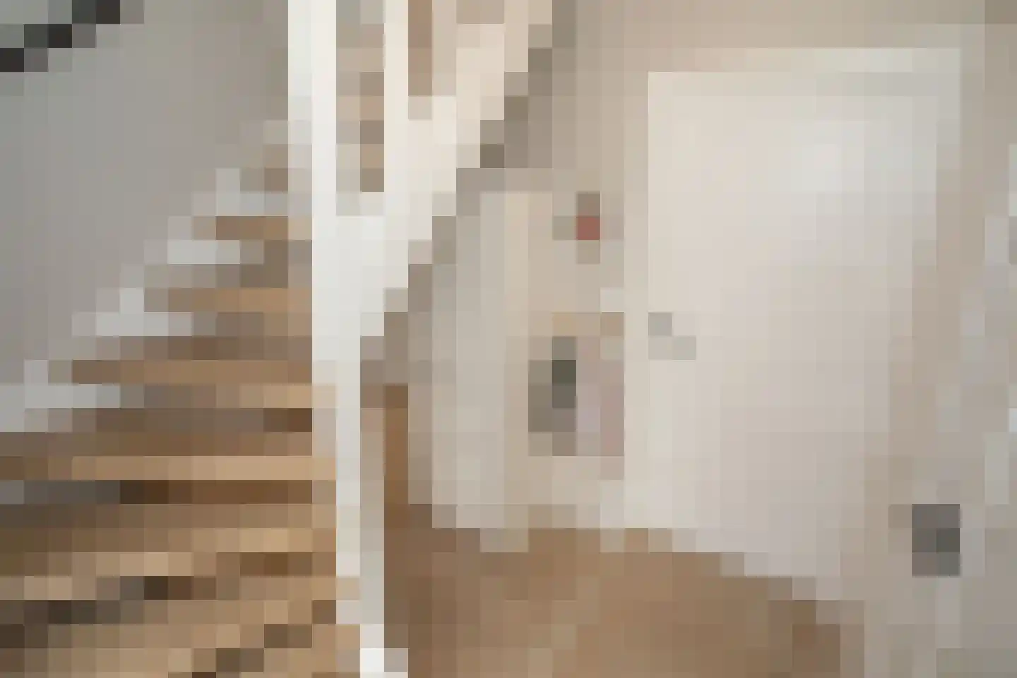 De Ibis 12 a Almelo thumbnail 8