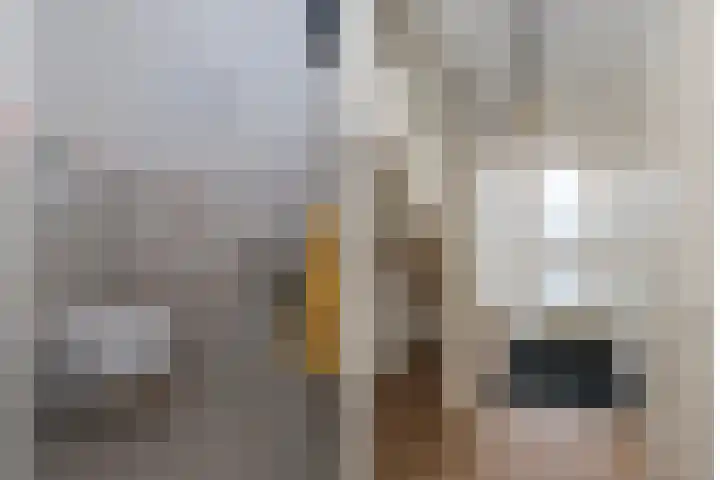 De Ibis 32 Almelo thumbnail 15