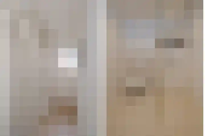 De Ibis 32 Almelo thumbnail 23