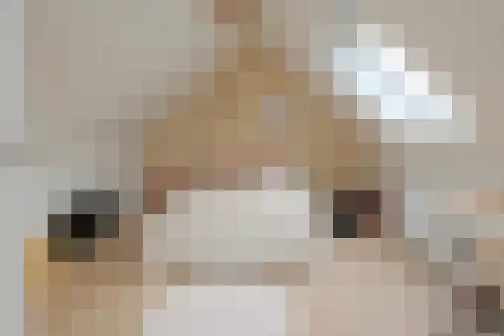 De Ibis 32 Almelo thumbnail 24