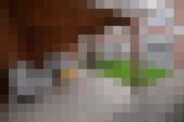 De Ibis 32 Almelo thumbnail 29