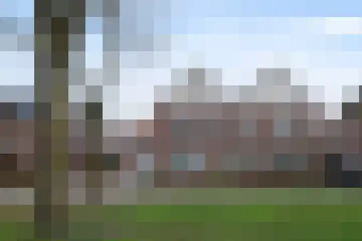 De Ibis 32 Almelo thumbnail 33