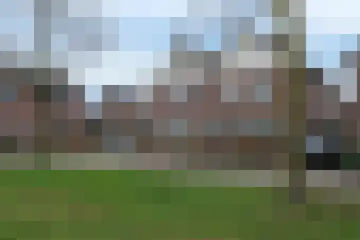De Ibis 32 Almelo thumbnail 35