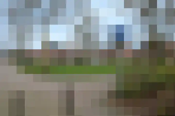 De Ibis 32 Almelo thumbnail 38