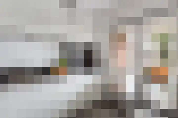 de Iemker 11 Rossum thumbnail 10