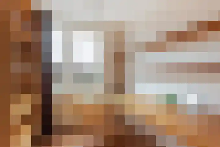 de Iemker 11 Rossum thumbnail 15