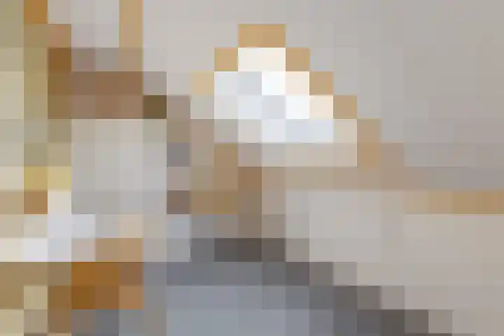 de Iemker 11 Rossum thumbnail 16