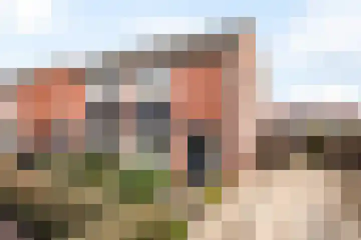 de Iemker 11 Rossum thumbnail 5
