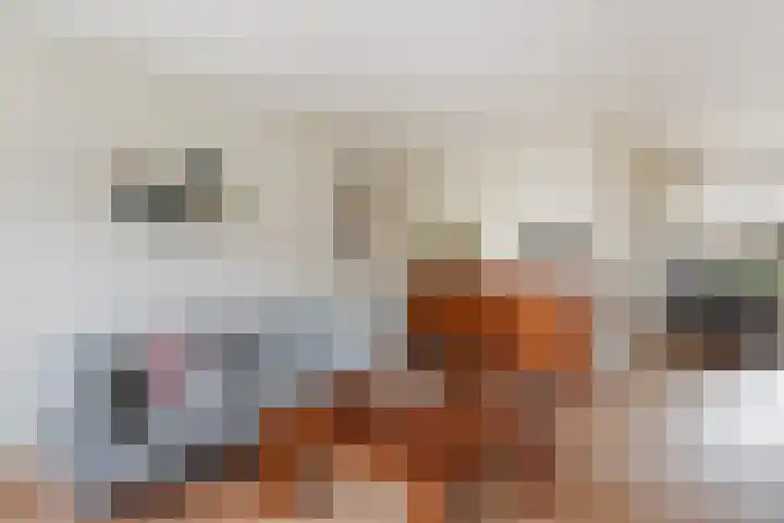 de Iemker 11 Rossum thumbnail 7