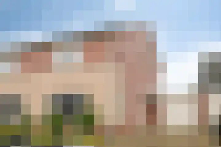 De Iep 6 Budel