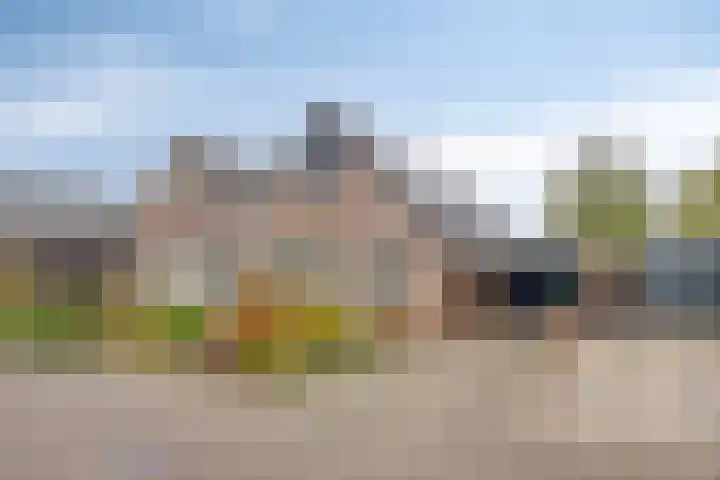 De IJslander 22 Dronten