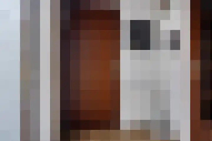 De IJslander 22 Dronten thumbnail 17