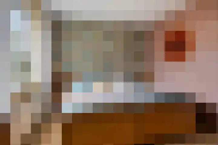 De IJslander 22 Dronten thumbnail 18