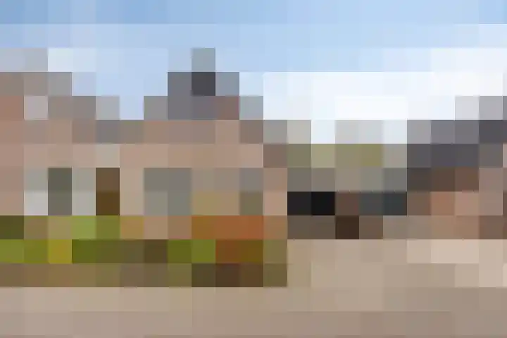 De IJslander 22 Dronten foto 2