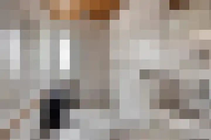 De IJslander 22 Dronten thumbnail 20