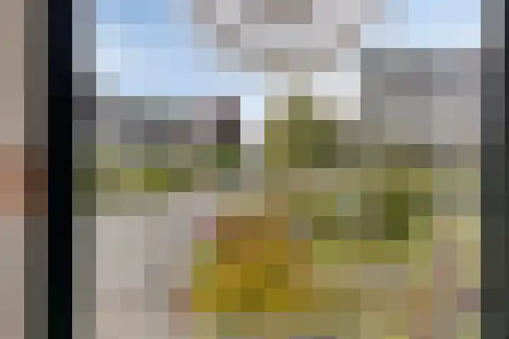 De IJslander 22 Dronten thumbnail 23