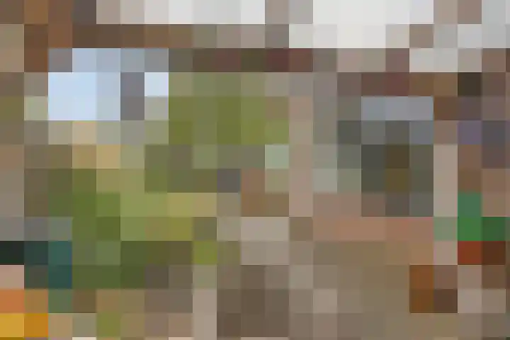 De IJslander 22 Dronten thumbnail 29