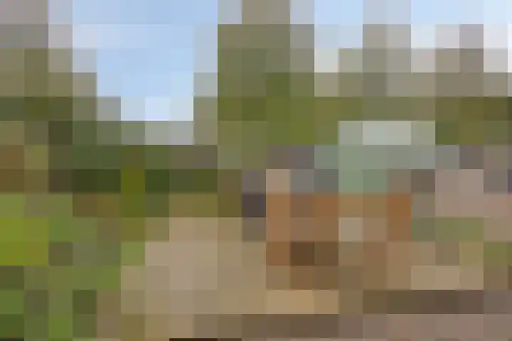 De IJslander 22 Dronten thumbnail 30