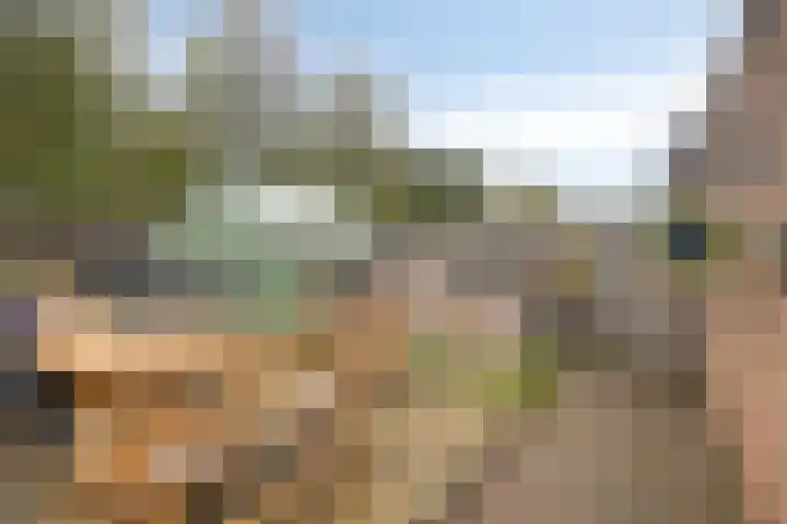 De IJslander 22 Dronten thumbnail 33