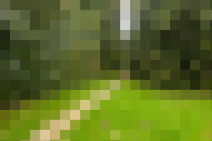 De IJslander 22 Dronten thumbnail 35