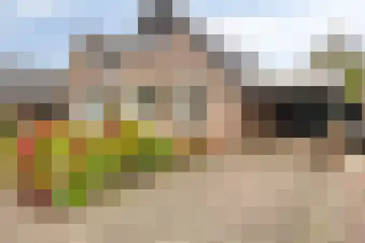 De IJslander 22 Dronten thumbnail 4