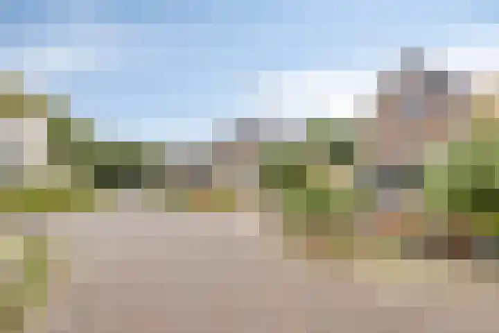 De IJslander 22 Dronten thumbnail 5