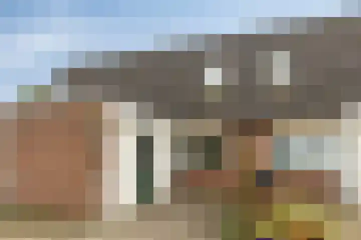 De IJsvogel 38 in Vriezenveen
