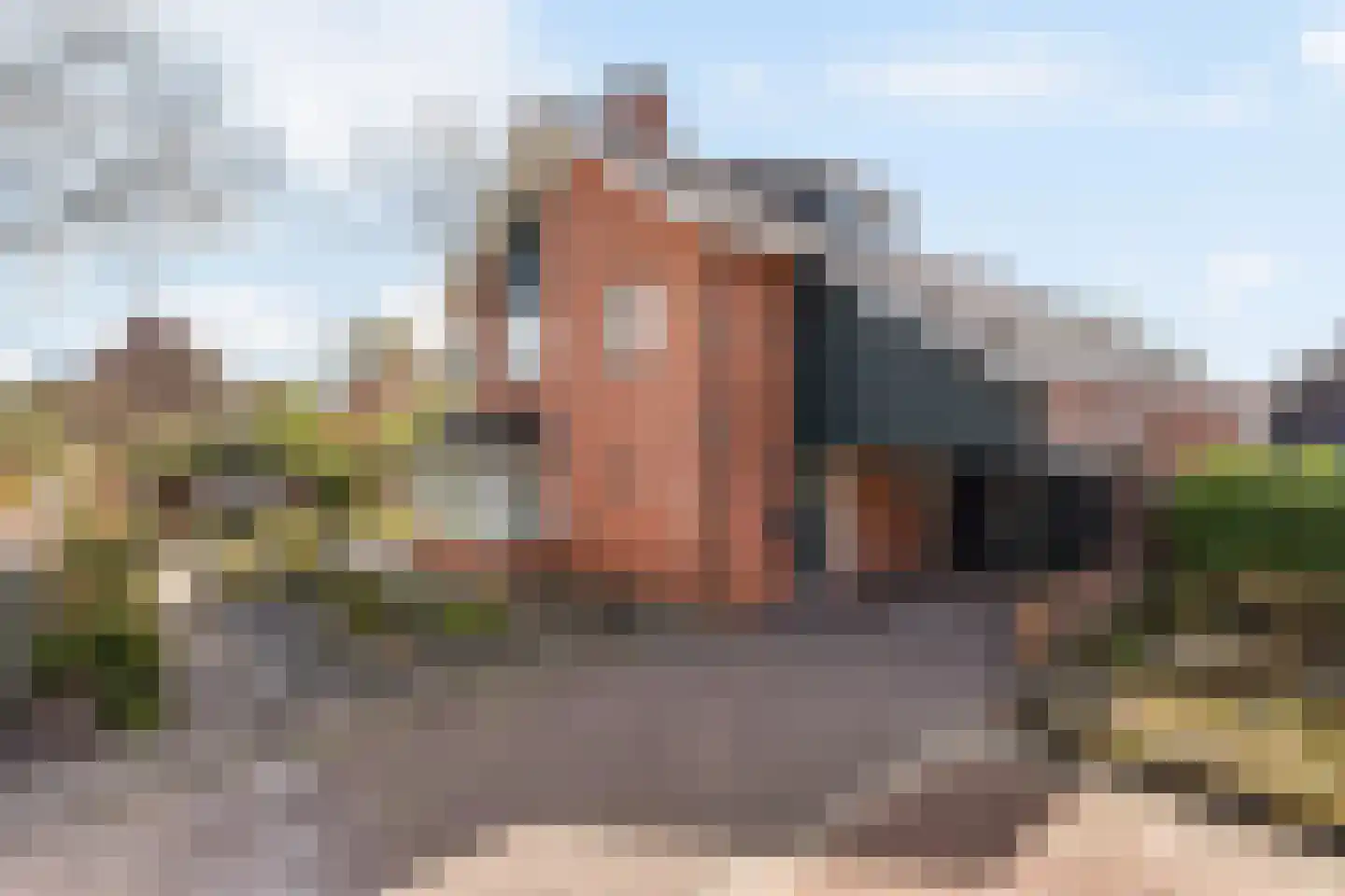 de IJsvogel 6 in Denekamp