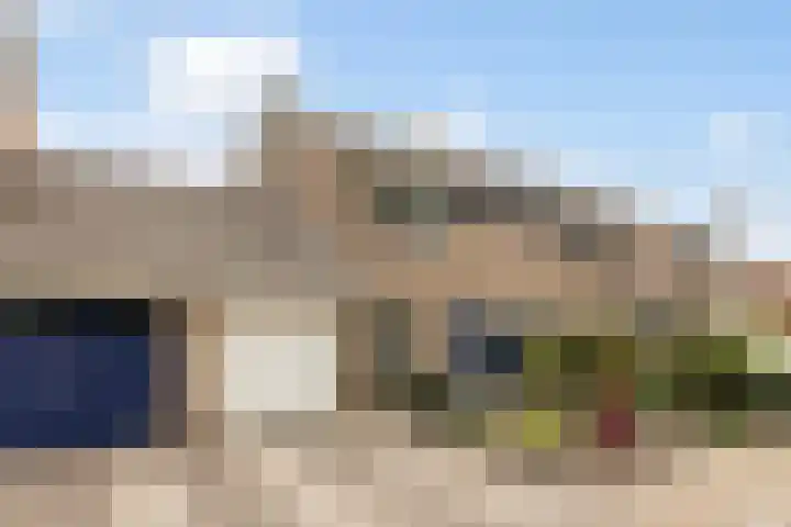 De Iken 55 Feanwâlden