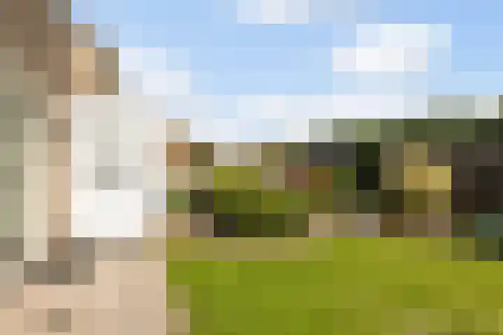 De Iken 55 Feanwâlden thumbnail 12