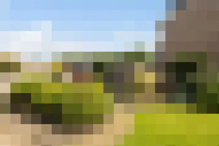 De Iken 55 Feanwâlden thumbnail 13