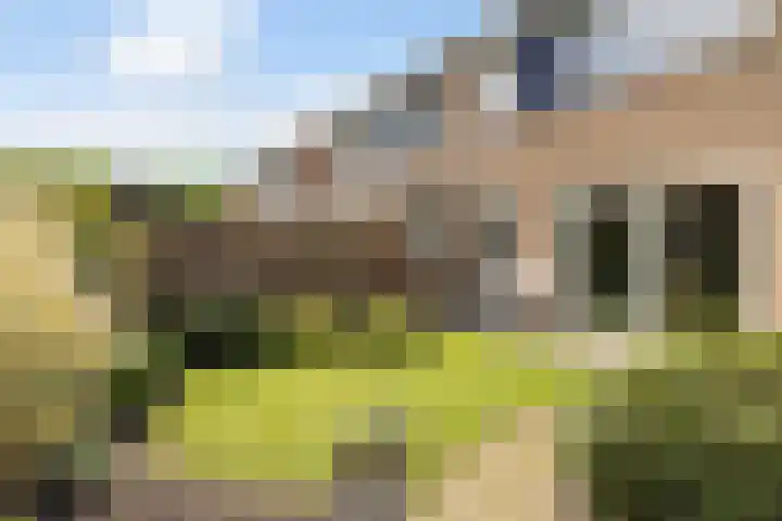 De Iken 55 Feanwâlden thumbnail 15