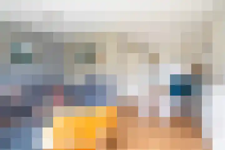 De Iken 55 Feanwâlden thumbnail 16
