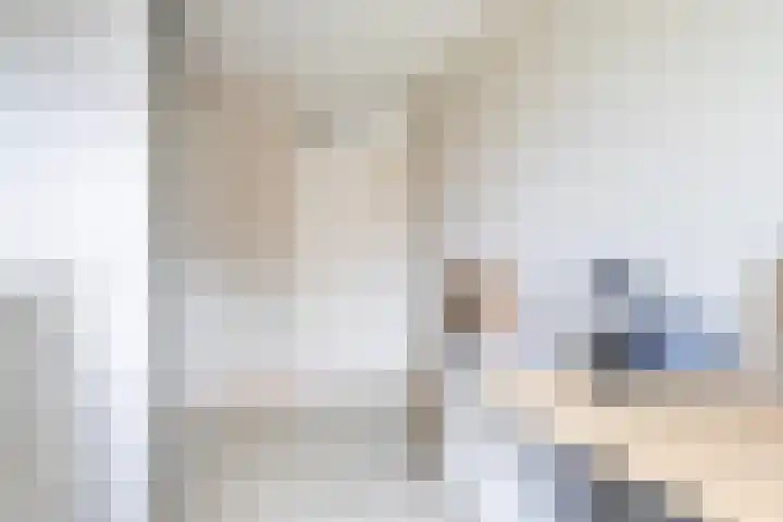 De Iken 55 Feanwâlden thumbnail 21
