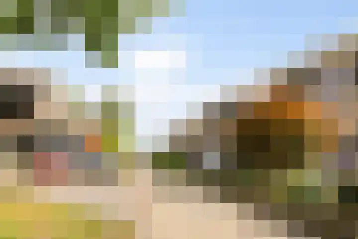 De Iken 55 Feanwâlden thumbnail 36