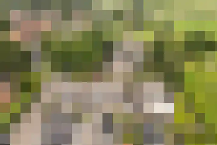 De Iken 55 Feanwâlden thumbnail 39