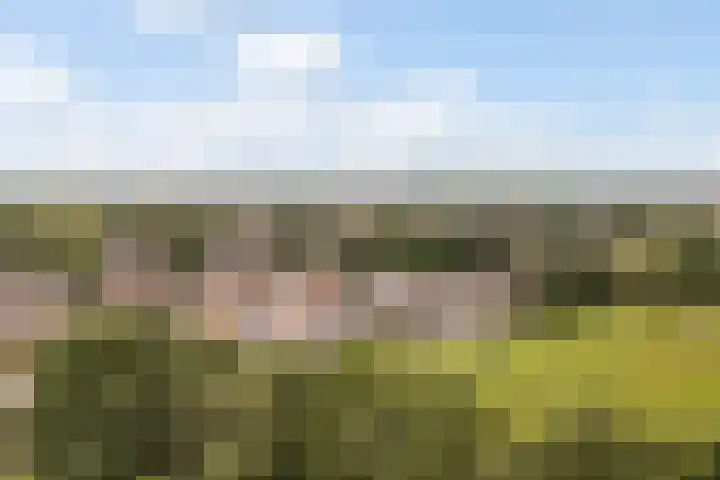 De Iken 55 Feanwâlden thumbnail 40