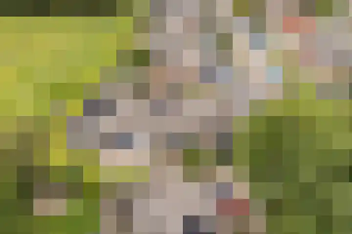 De Iken 55 Feanwâlden thumbnail 41