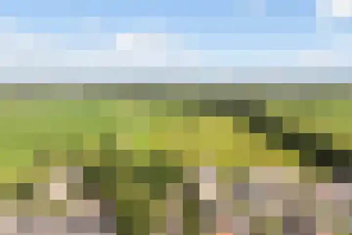 De Iken 55 Feanwâlden thumbnail 42