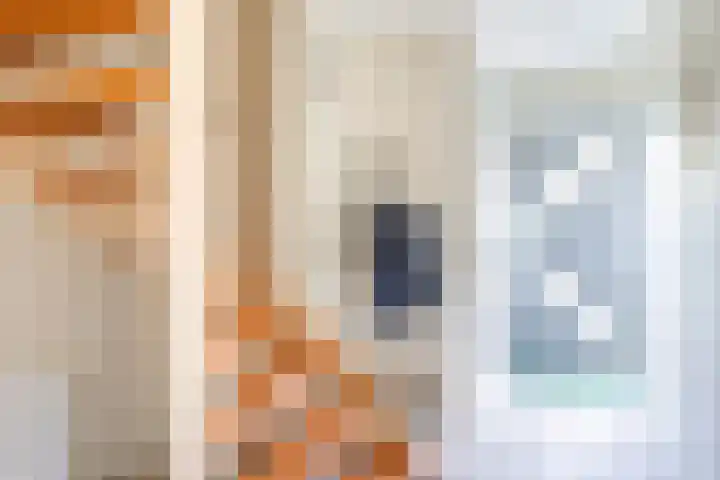 De Iken 55 Feanwâlden thumbnail 6