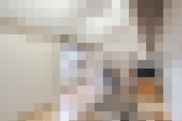 de Imker 23 Heeze thumbnail 20