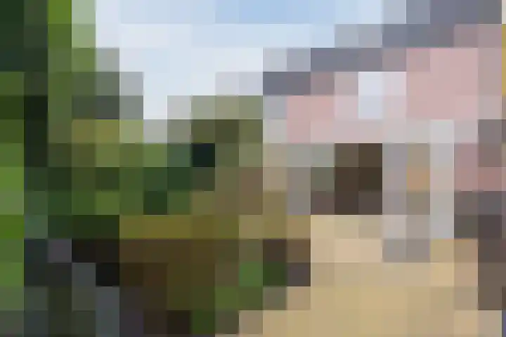 de Imker 23 Heeze thumbnail 21