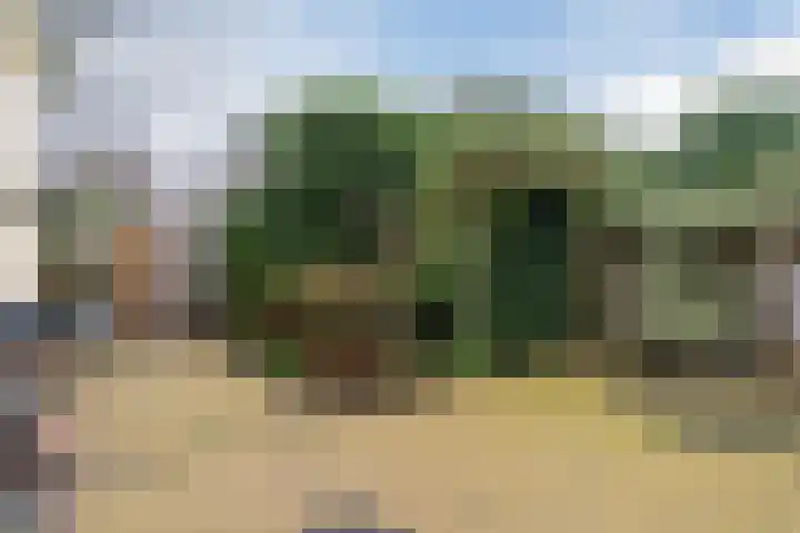 de Imker 23 Heeze thumbnail 22