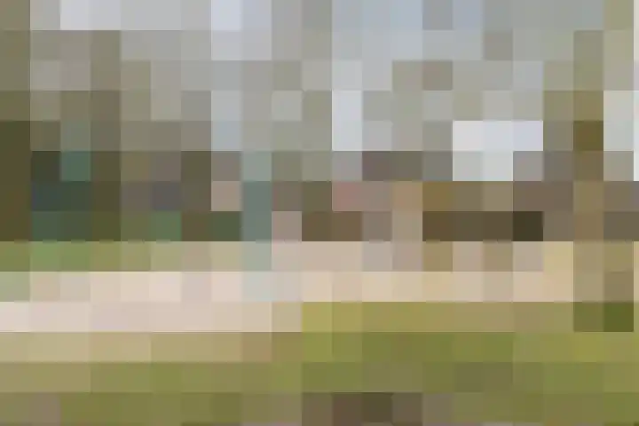 de Imker 23 Heeze thumbnail 26