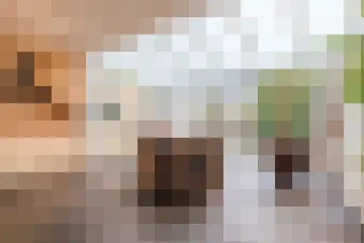 de Imker 23 Heeze thumbnail 9