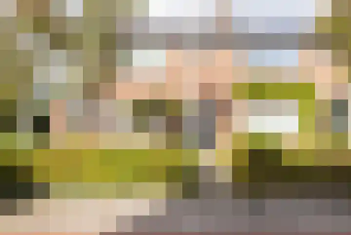 De Imker 9 Kwintsheul