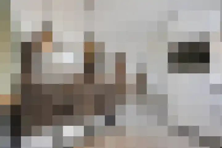 De Ing 4 Geffen thumbnail 15