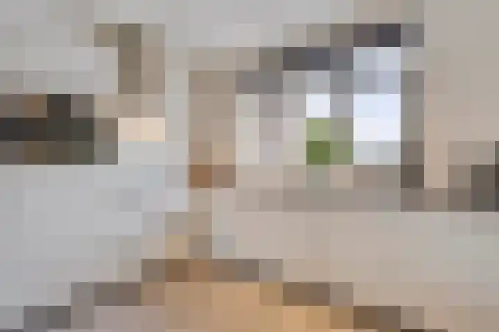 De Ing 4 Geffen thumbnail 17