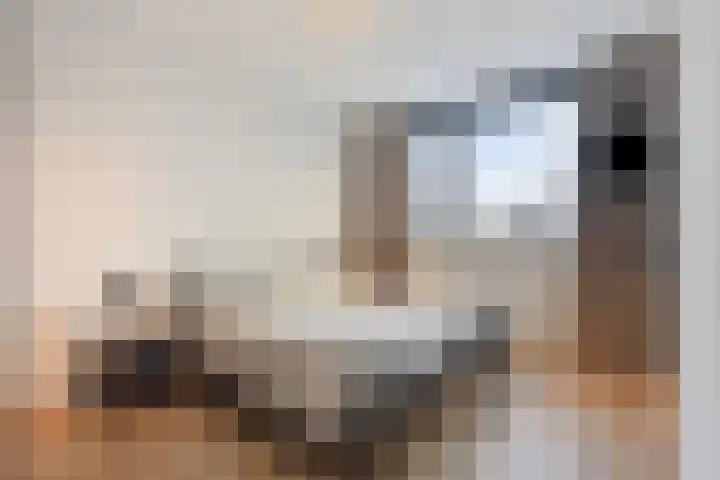 De Ing 4 Geffen thumbnail 19