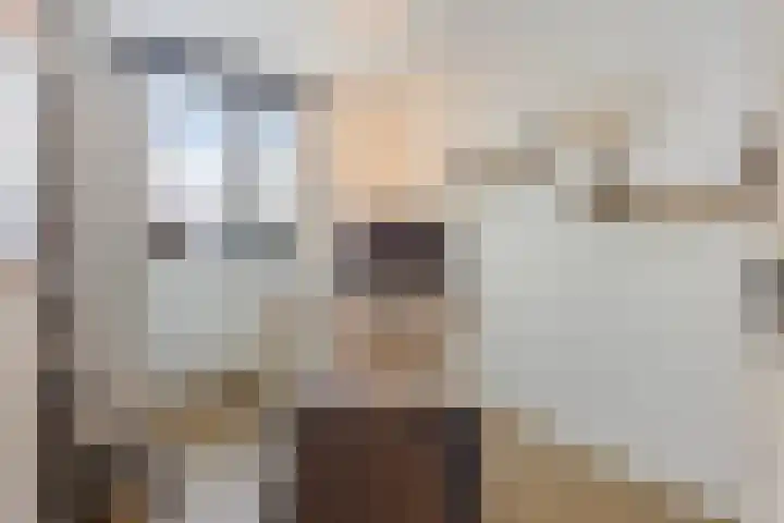 De Ing 4 Geffen thumbnail 24